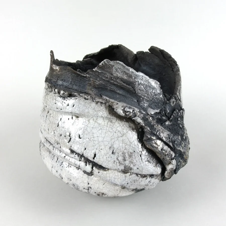 Raku_250272 Raku_250272